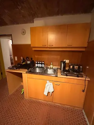 Küche/Küchenzeile in der Unterkunft Villa Vanel - Pension Hotel