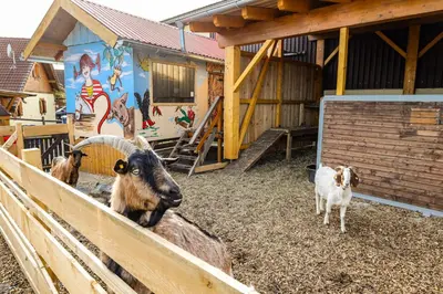 Haustiere von Gästen der Unterkunft Ferienhof Kosertal - Erlebnisbauernhof, Reitstall & Spa