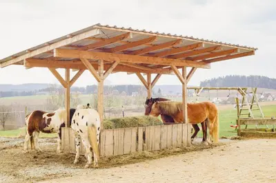 Tiere in der Ferienwohnung oder in der Nähe
