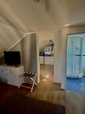 TV/Unterhaltungsangebot in der Unterkunft Gemütliche Dachgeschosswohnung zur Alleinnutzung mit kl Küche & Bad