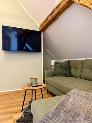 TV/Unterhaltungsangebot in der Unterkunft Dachblick by Zirwick Apartment