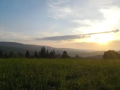 Naturlandschaft in der Nähe der Ferienwohnung