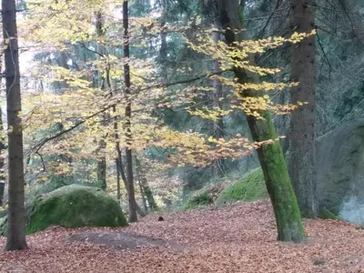 Naturlandschaft in der Nähe der Ferienwohnung