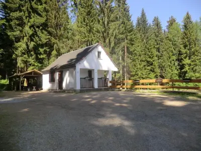 Naturlandschaft in der Nähe des Ferienhauses