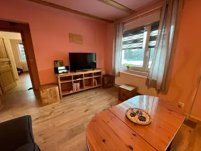 TV/Unterhaltungsangebot in der Unterkunft Holiday Home Haus Fichtelberg by Interhome