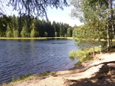 Naturlandschaft in der Nähe des Ferienhauses