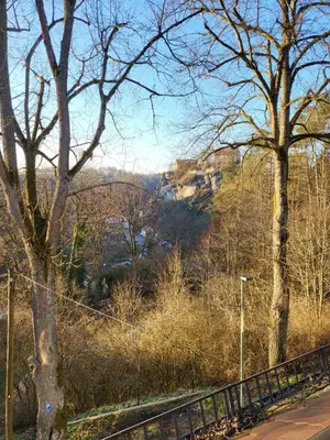 Naturlandschaft in der Nähe der Ferienwohnung