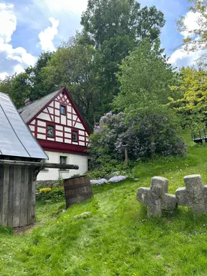 Ein Garten an der Unterkunft Künstlerwohnung