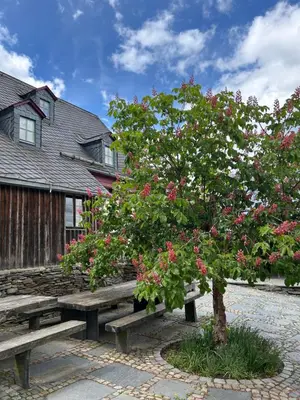 Ein Garten an der Unterkunft Künstlerwohnung