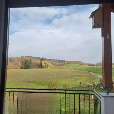Between city and nature