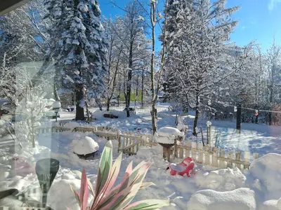 Fichtelappartment im Winter