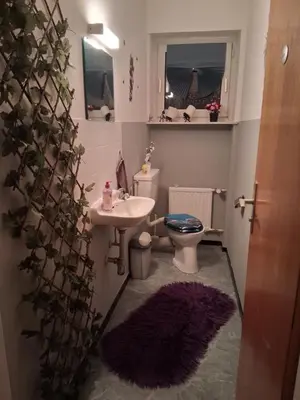Ein Badezimmer in der Unterkunft Fichtelappartment