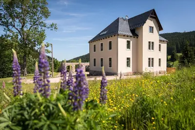 Naturlandschaft in der Nähe der Ferienwohnung