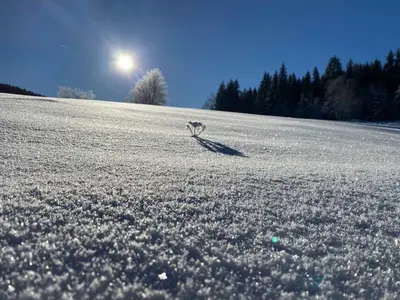 Alte Försterei Wildenthal am Kammweg Erzgebirge Ferienwohnung 2 im Winter