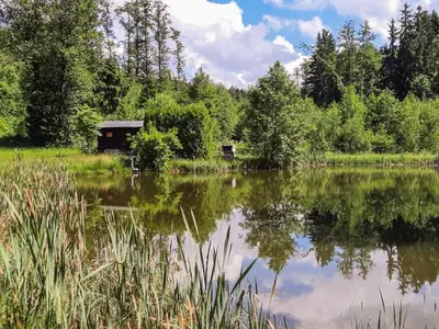 Naturlandschaft in der Nähe der Ferienwohnung