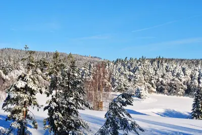 Ferienwohnung Kappauf / Petrik im Winter