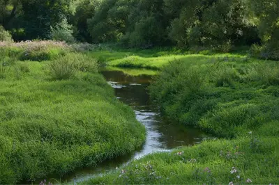 Naturlandschaft in der Nähe des Hotels