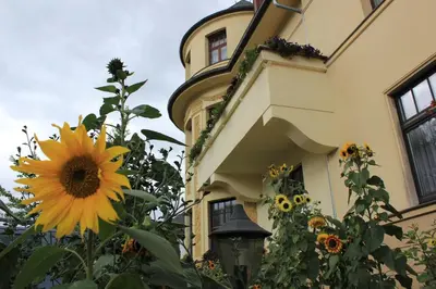Ein Garten an der Unterkunft Pension Vogtländer
