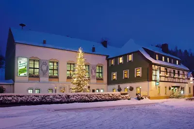 Hotel Gasthof zum Walfisch im Winter