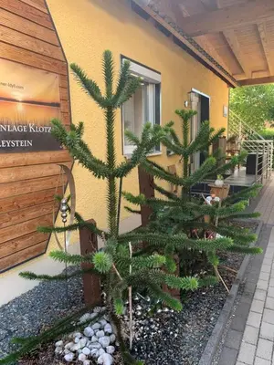 Ein Garten an der Unterkunft Ferienanlage Klotz