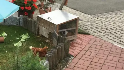 Grundriss der Unterkunft Ferienhaus Zillendorf