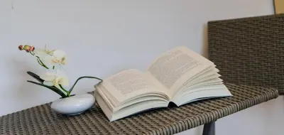 Die Bibliothek in der Ferienwohnung
