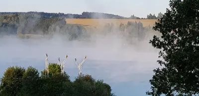 Naturlandschaft in der Nähe des Hotels