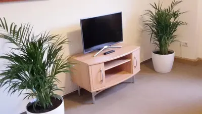 TV/Unterhaltungsangebot in der Unterkunft Villa Goldbrunnen Ferienwohnung 3