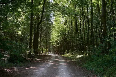 Naturlandschaft in der Nähe der Pension