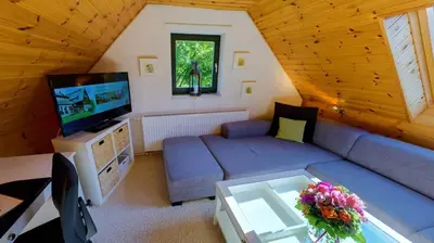 TV/Unterhaltungsangebot in der Unterkunft Ferienhotel Mühlleithen