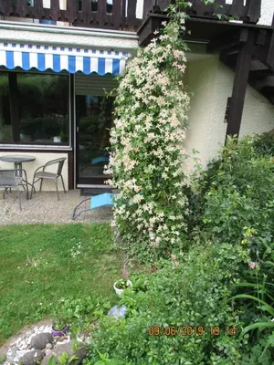 Ein Garten an der Unterkunft Ferienwohnung Troglauer