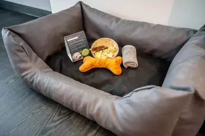 Ein Sitzbereich in der Unterkunft Hotel Fränkische Schweiz-Pegnitz