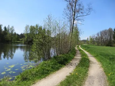 Naturlandschaft in der Nähe der Pension