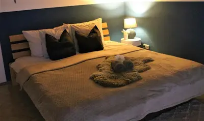 Ein Bett oder Betten in einem Zimmer der Unterkunft Ferienwohnung Lex