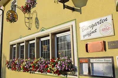 Ein Zertifikat, Auszeichnung, Logo oder anderes Dokument, das in der Unterkunft Hotel Grüner Baum ausgestellt ist