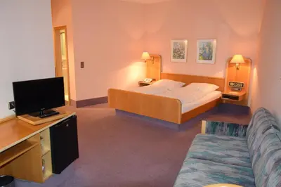 TV/Unterhaltungsangebot in der Unterkunft Hotel Grüner Baum