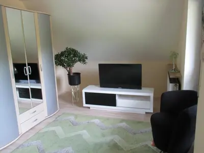 TV/Unterhaltungsangebot in der Unterkunft Apartments in Behringersmühle