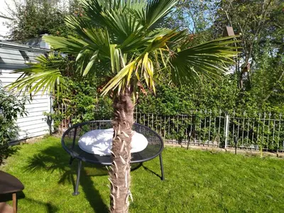 Ein Garten an der Unterkunft Villa Johner
