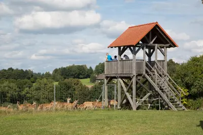 Grundriss der Unterkunft Scheidlerhof