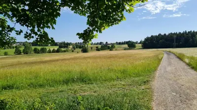 Naturlandschaft in der Nähe der Pension