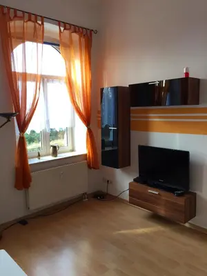 TV/Unterhaltungsangebot in der Unterkunft Ferienwohnungen Plauen