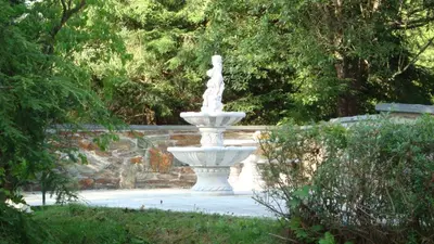 Ein Garten an der Unterkunft Zollhaus