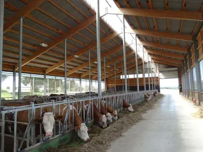 Tiere in der Ferienwohnung oder in der Nähe