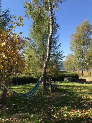 Ein Garten an der Unterkunft Ferienhaus Berghütte Vogtland in Klingenthal