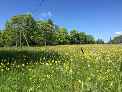 Naturlandschaft in der Nähe des Ferienhauses
