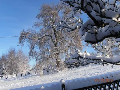 Ferienwohnung Mitreuter im Winter