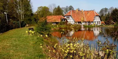 Naturlandschaft in der Nähe der Ferienwohnung