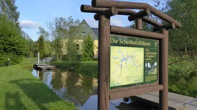 Naturlandschaft in der Nähe der Ferienwohnung