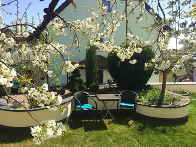 Ein Garten an der Unterkunft Ferienwohnung am Schloss