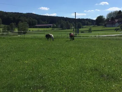 Naturlandschaft in der Nähe der Ferienwohnung